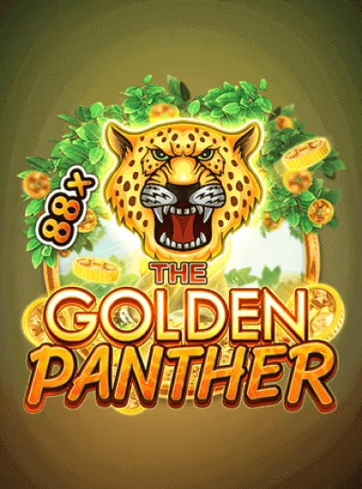 Video slot game cover